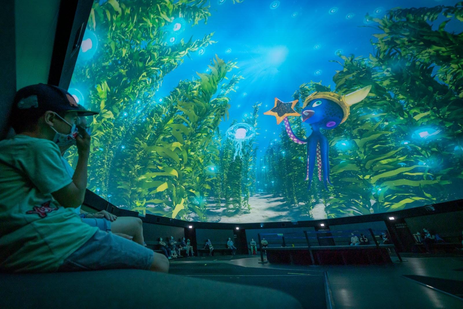 Dome Cinema 360