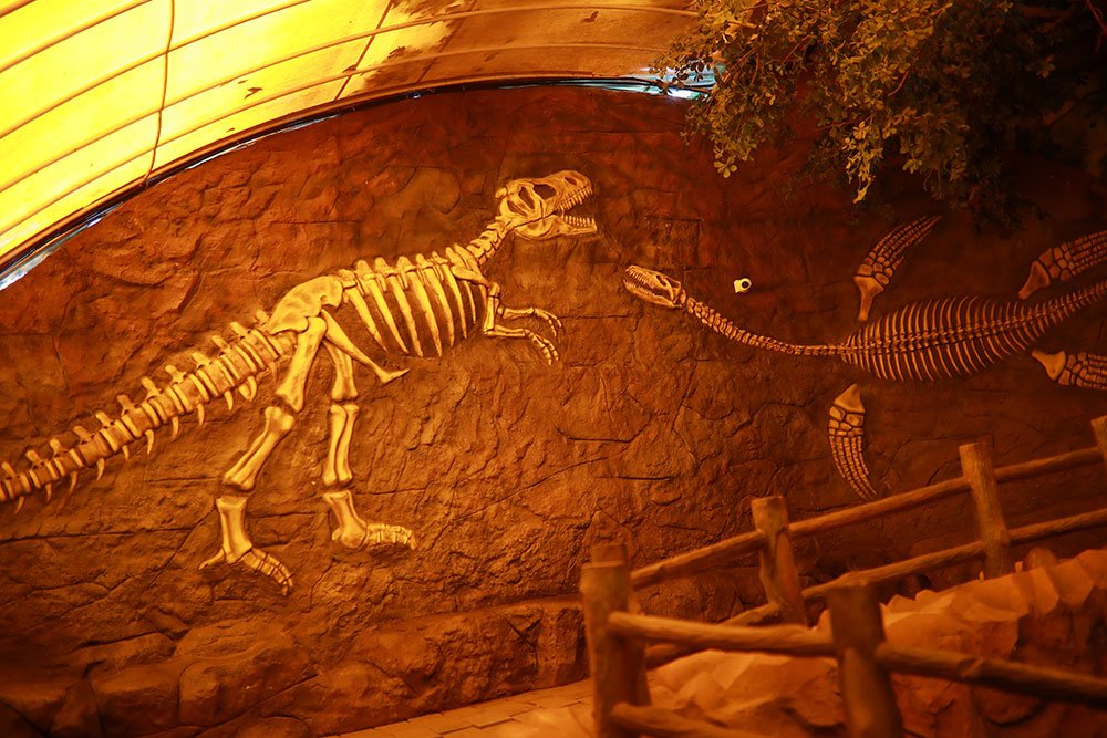 Dino Park photo 2