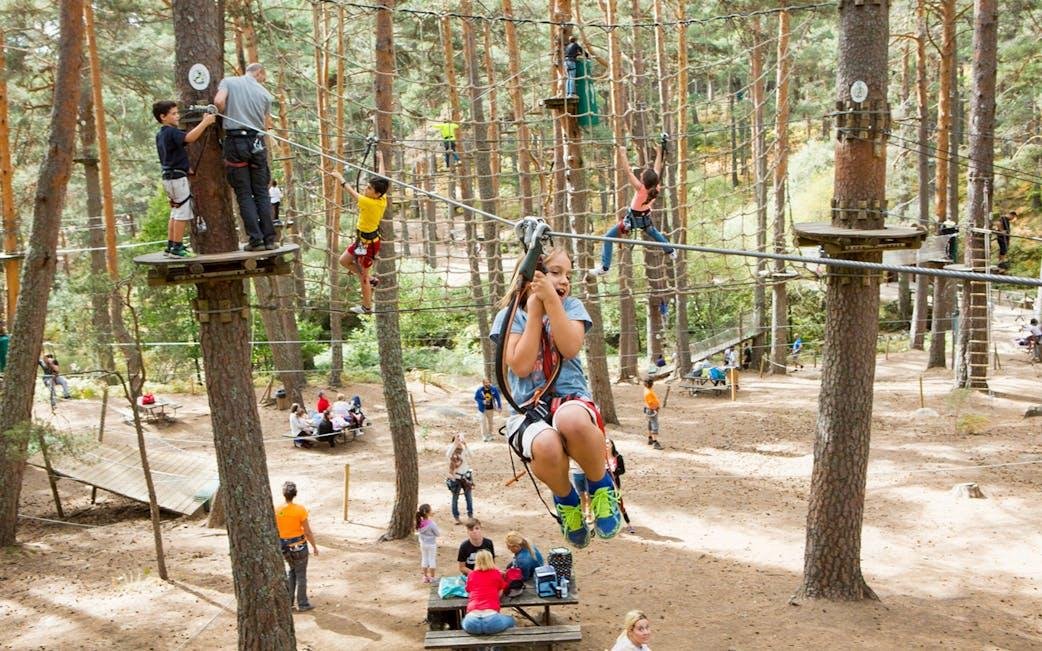 Adventure and Aerial Parks